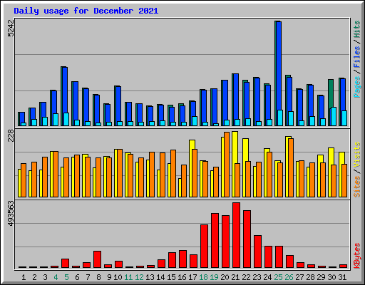 Daily usage for December 2021