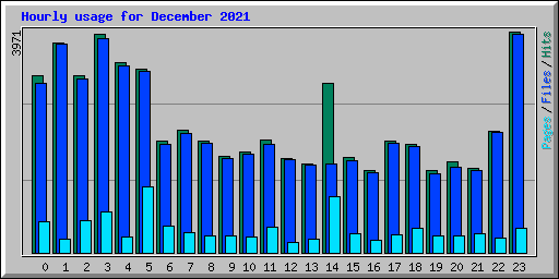 Hourly usage for December 2021