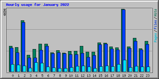 Hourly usage for January 2022