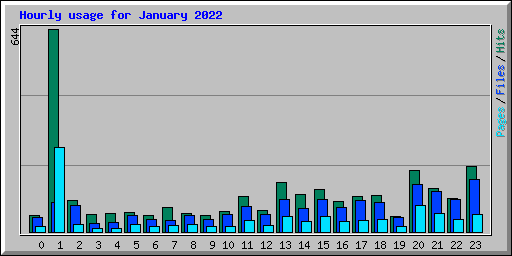 Hourly usage for January 2022