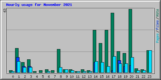 Hourly usage for November 2021